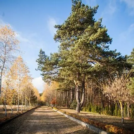 别墅 多尔克麦斯里基别墅 哈日科维